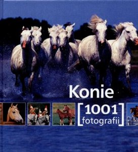 Obrazek Konie. 1001 fotografii