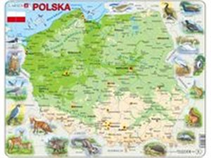 Obrazek Polska mapa ze zwierzętami