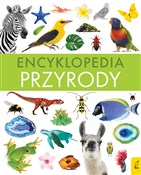 Encykloped... - Paweł Zalewski -  Polish Bookstore 