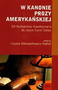 Obrazek W kanonie prozy amerykańskiej Od Nathaniela Hawthorne'a do Joyce Carol Oates