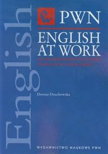 Picture of English at Work An English-Polish Dictionary of selected collocations