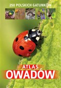 Książka : Atlas owad... - Jacek Twardowski, Kamila Twardowska