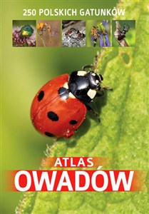 Picture of Atlas owadów 250 polskich gatunków