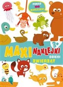 Maxinaklej... - Opracowanie Zbiorowe -  foreign books in polish 