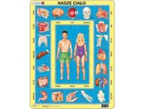 Obrazek Puzzle Nasze ciało 35