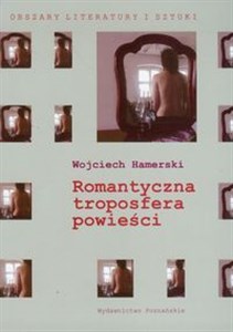 Picture of Romantyczna troposfera powieści