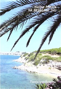 Picture of Na brzegu snu