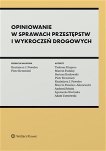 Picture of Opiniowanie w sprawach przestępstw i wykroczeń drogowych