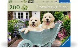 Picture of Puzzle XL 200 Golden Retriever