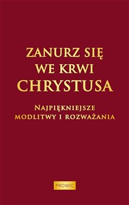 Picture of Zanurz się we Krwi Chrystusa. Najpiękniejsze modlitwy i rozważania