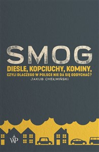Obrazek SMOG Diesle, kopciuchy, kominy, czyli dlaczego w Polsce nie da się oddychać?