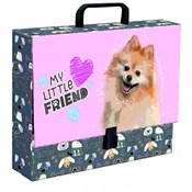 Teczka A4 ... -  books from Poland