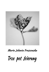Picture of Trze pot ścierany