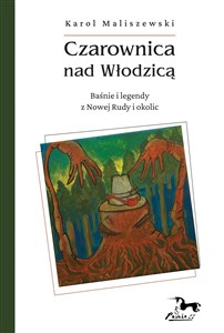 Obrazek Czarownica nad Włodzicą Baśnie i legendy z Nowej Rudy i okolic