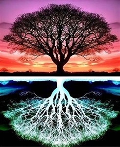 Picture of Diamentowa Mozaika Drzewo i odbicie NO-2001537