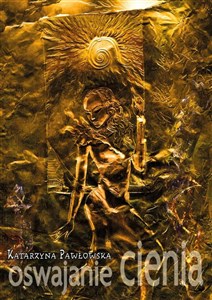 Picture of Oswajanie cienia