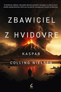 Picture of Zbawiciel z Hvidovre