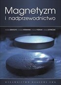 Magnetyzm ... - Andrzej Szewczyk, Andrzej Wiśniewski, Roman Puźniak, Henryk Szymczak -  foreign books in polish 