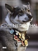 Zobacz : Chris Nied... - Chris Niedenthal