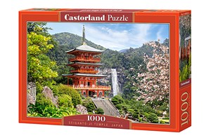 Picture of Puzzle Seiganto-ji Temple, Japan