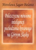 Polszczyzn... - Mirosława Sagan-Bielawa -  Polish Bookstore 