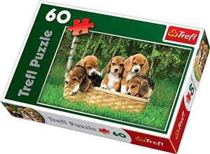 Obrazek Puzzle 60 Małe Beagle