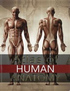 Picture of Atlas of Human Anatomy