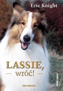 Obrazek Lassie wróć!