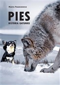 polish book : Pies Histo... - Marta Paszkiewicz