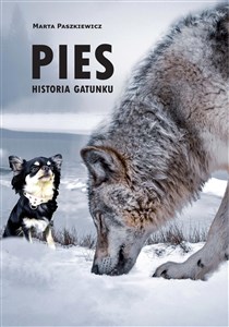 Obrazek Pies Historia gatunku
