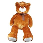 Miś pluszo... -  foreign books in polish 