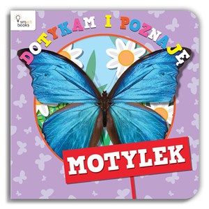 Obrazek Dotykam i Poznaję Motylek