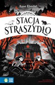 polish book : Stacja Str... - Anne Elvedal