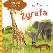 Żyrafa - Renata Opala -  books from Poland