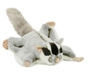 Polska książka : Szybowiec ...