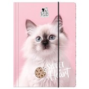 Książka : Teczka z g...