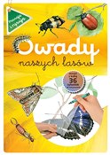 polish book : Owady nasz... - Katarzyna Kopiec-Sekieta