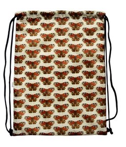 Obrazek Worek szkolny plecak WR128 Motylki MESIO