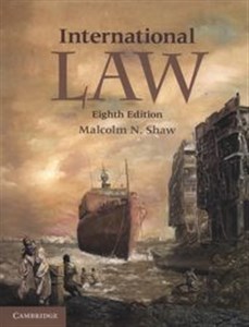Obrazek International Law