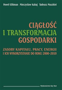 Picture of Ciągłość i transformacja gospodarki Zasoby kapitału, pracy, energii i ich wykorzystanie do roku 2000–2010