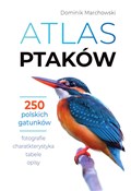 Zobacz : Atlas ptak... - Dominik Marchowski