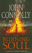 Burning So... - John Connolly -  foreign books in polish 