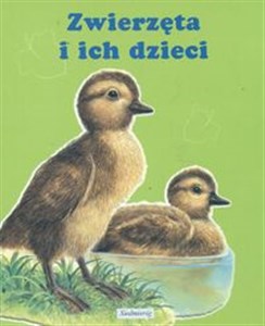 Picture of Zwierzęta i ich dzieci