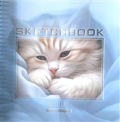 Szkicownik... -  books in polish 