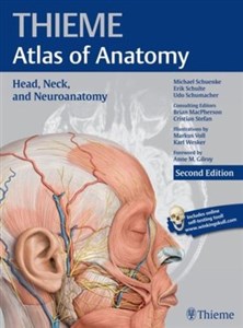 Picture of Head, Neck, and Neuroanatomy (THIEME Atlas of Anatomy)