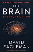 polish book : The Brain ... - David Eagleman