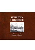 polish book : Gniezno i ... - Tadeusz Panowicz