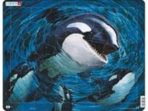 Picture of Orka