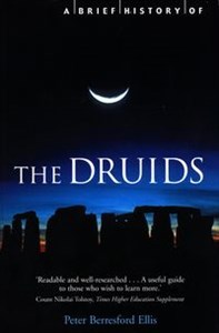 Picture of 	A Brief History of the Druids