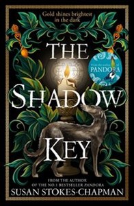 Picture of The Shadow Key